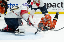 Panthers Ducks Hockey