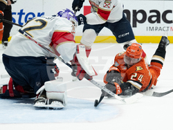 Panthers Ducks Hockey