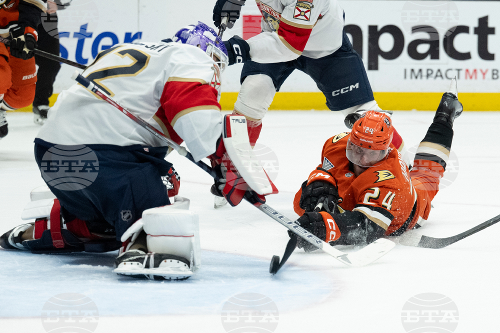 Panthers Ducks Hockey