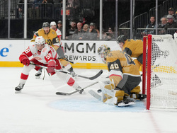 Red Wings Golden Knights Hockey