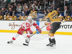 Red Wings Golden Knights Hockey