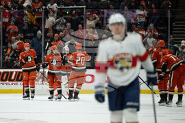 Panthers Ducks Hockey