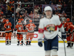 Panthers Ducks Hockey