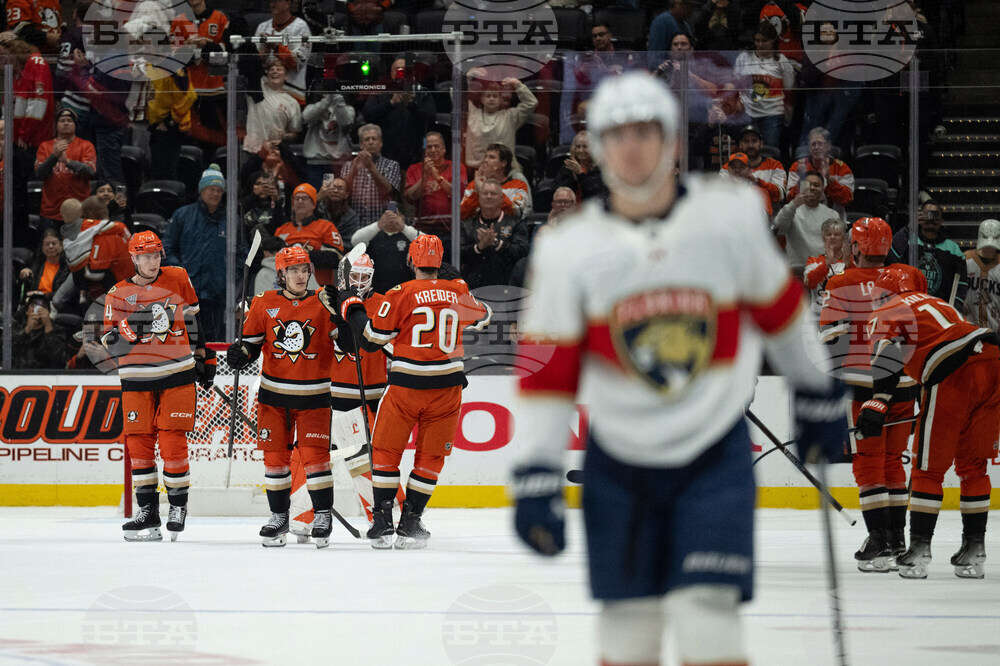 Panthers Ducks Hockey