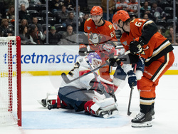 Panthers Ducks Hockey