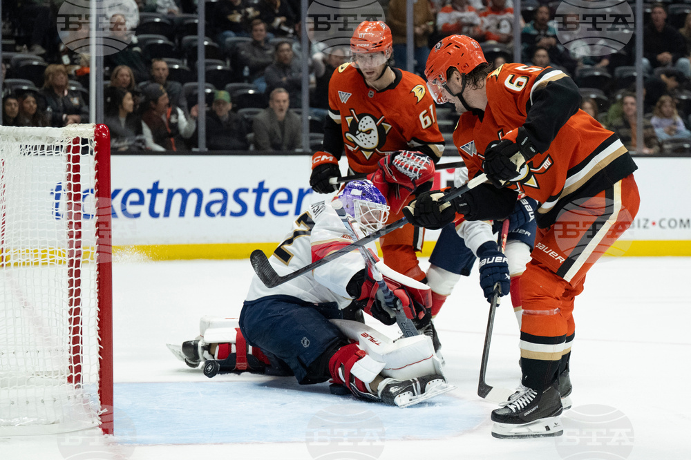 Panthers Ducks Hockey