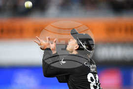 New Zealand West Indies T20 Cricket