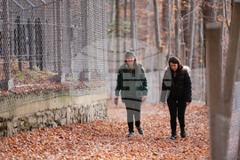 Белица - Парк за мечки - есен