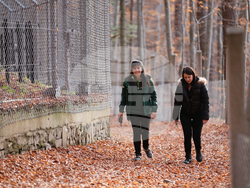 Белица - Парк за мечки - есен