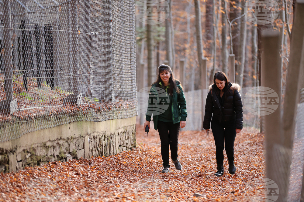 Белица - Парк за мечки - есен