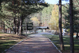 Белица - Парк за мечки - есен