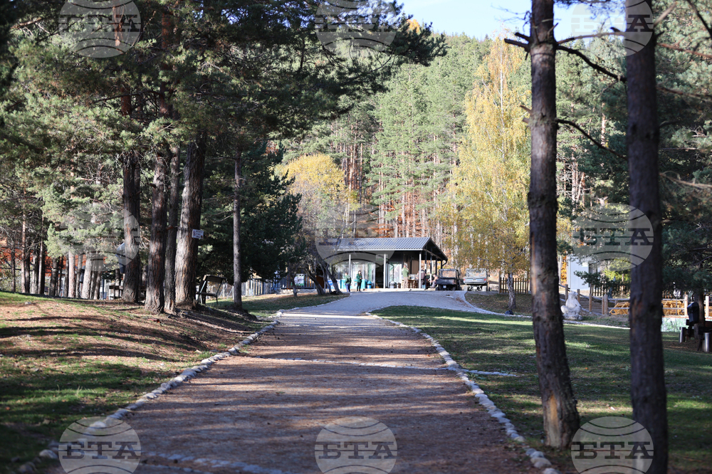 Белица - Парк за мечки - есен