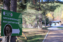 Белица - Парк за мечки - есен