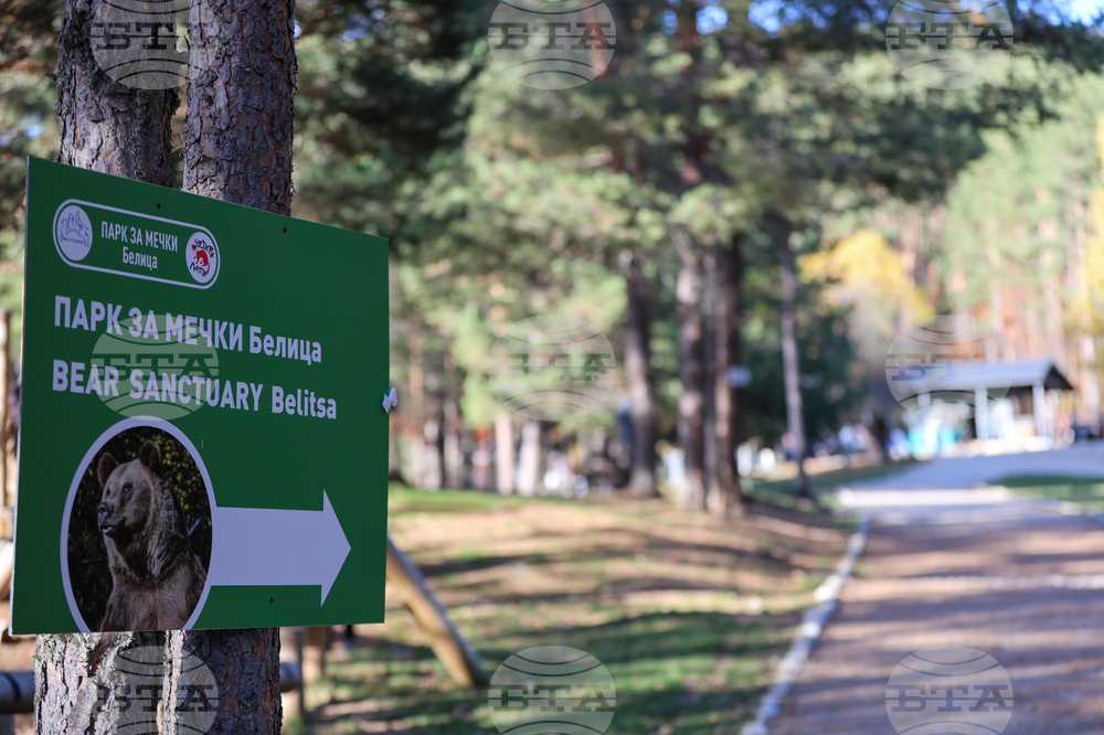 Белица - Парк за мечки - есен