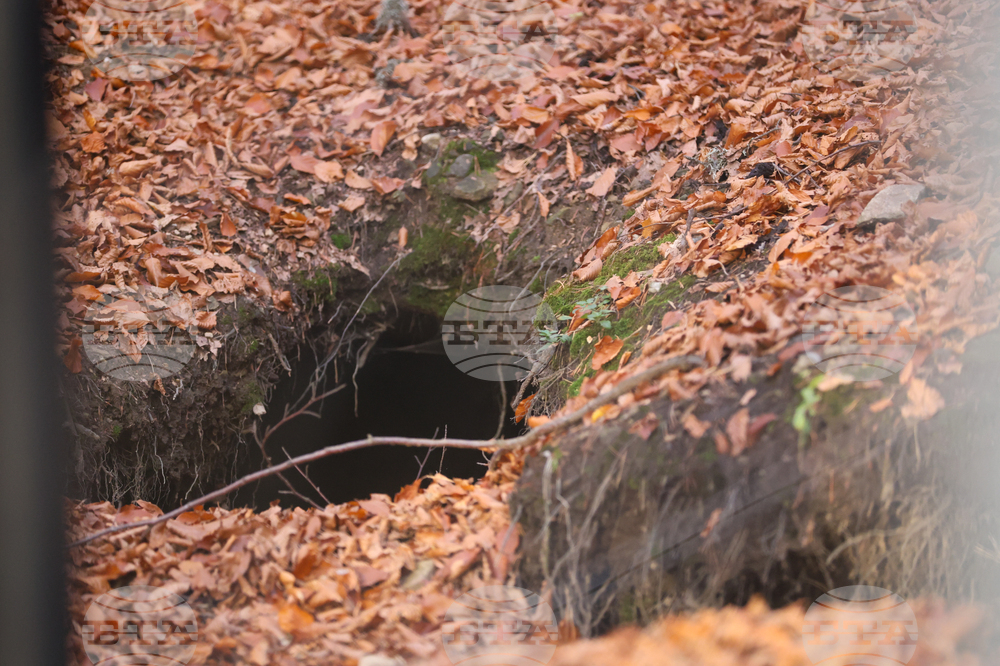Белица - Парк за мечки - есен