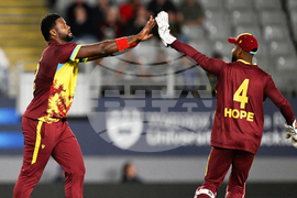 New Zealand West Indies T20 Cricket