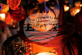 Top Vertical Photos Photo Gallery