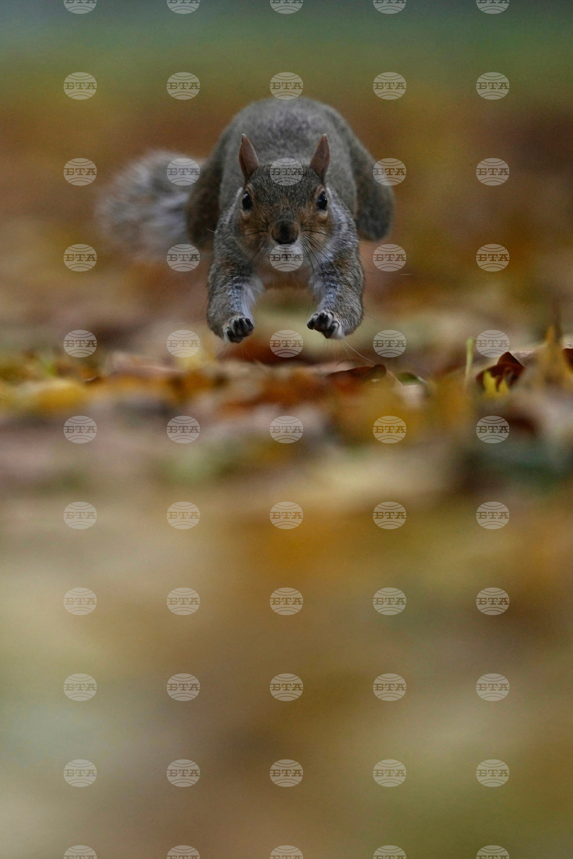 Top Vertical Photos Photo Gallery