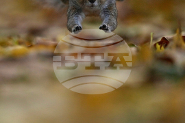 Top Vertical Photos Photo Gallery