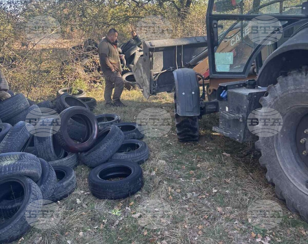 Служители на Държавното горско стопанство – Шумен изчистиха голямо незаконно сметище край града 