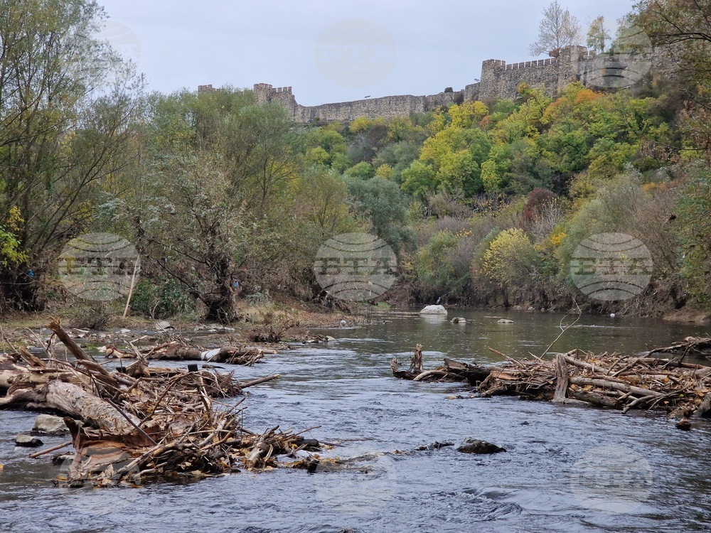 Изчистено е голямо струпване на дървета в коритото на река Янтра във Велико Търново