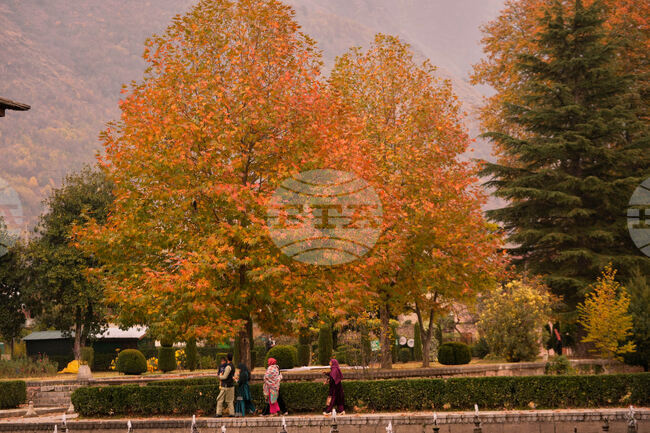 India Kashmir Autumn