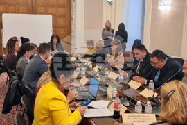 Народно събрание - Комисия по демографската политика, децата и семейството - заседание