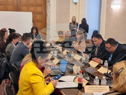 Народно събрание - Комисия по демографската политика, децата и семейството - заседание