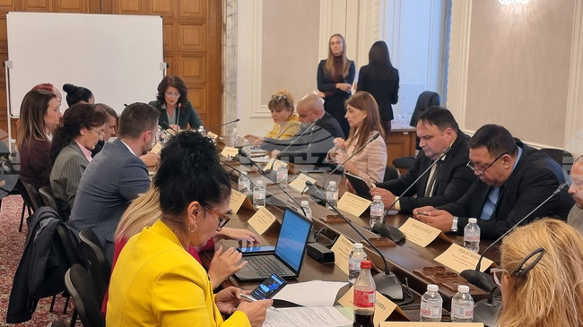 Комисията по демографската политика, децата и семейството отхвърли предложение за натрупания платен годишен отпуск по време на майчинство