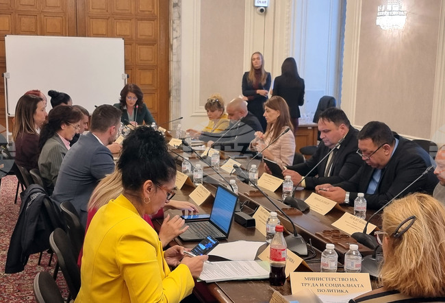 Комисията по демографската политика, децата и семейството отхвърли предложение за натрупания платен годишен отпуск по време на майчинство