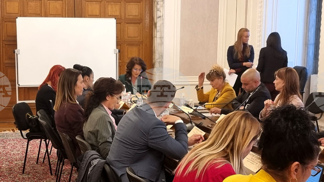 Комисията по демографската политика, децата и семейството отхвърли предложение за промяна в реда на отпуска по бащинство