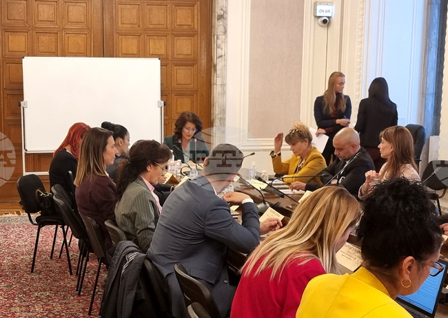 Комисията по демографската политика, децата и семейството отхвърли предложение за промяна в реда на отпуска по бащинство