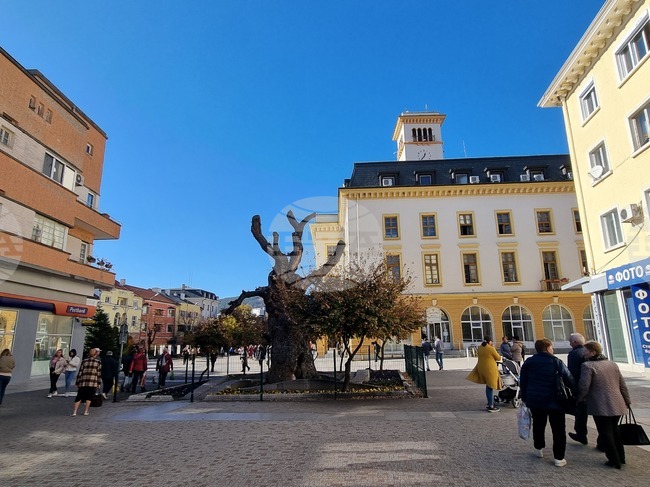 Какви прояви имаха кандидатите за народни представители в 21-ви МИР – Сливен