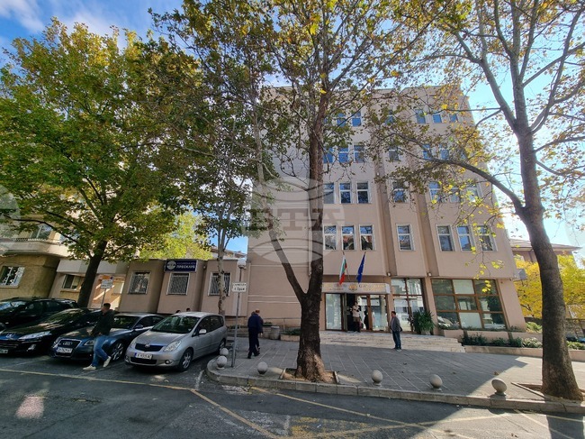 Тринадесет пътни инцидента с пешеходци са станали в област Сливен за три месеца