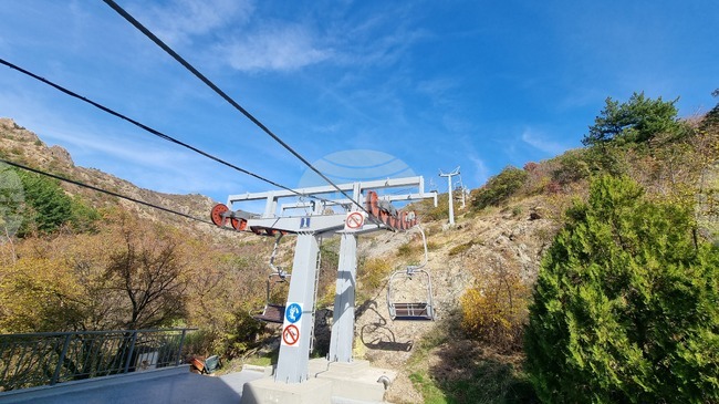 Образователен поход в Природен парк „Сините камъни“ ще запознае младежи с бозайниците там