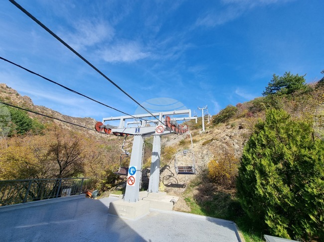 Образователен поход в Природен парк „Сините камъни“ ще запознае младежи с бозайниците там