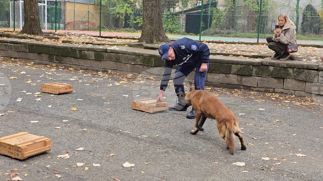 Занятие със служебното куче Аякс имаха учениците от Детското полицейско управление в Ловеч