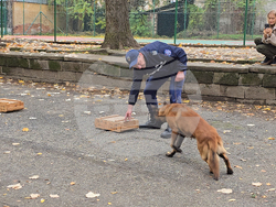 Ловеч - Детско полицейско управление - занятие със служебно куче