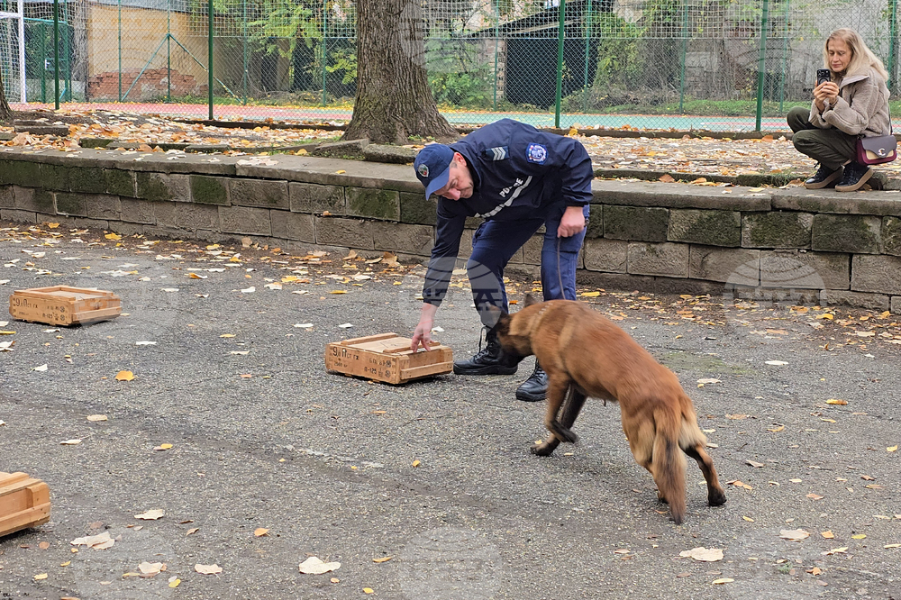 Ловеч - Детско полицейско управление - занятие със служебно куче