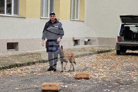 Ловеч - Детско полицейско управление - занятие със служебно куче