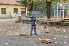 Ловеч - Детско полицейско управление - занятие със служебно куче