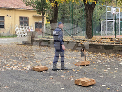 Ловеч - Детско полицейско управление - занятие със служебно куче