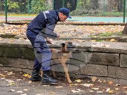 Ловеч - Детско полицейско управление - занятие със служебно куче