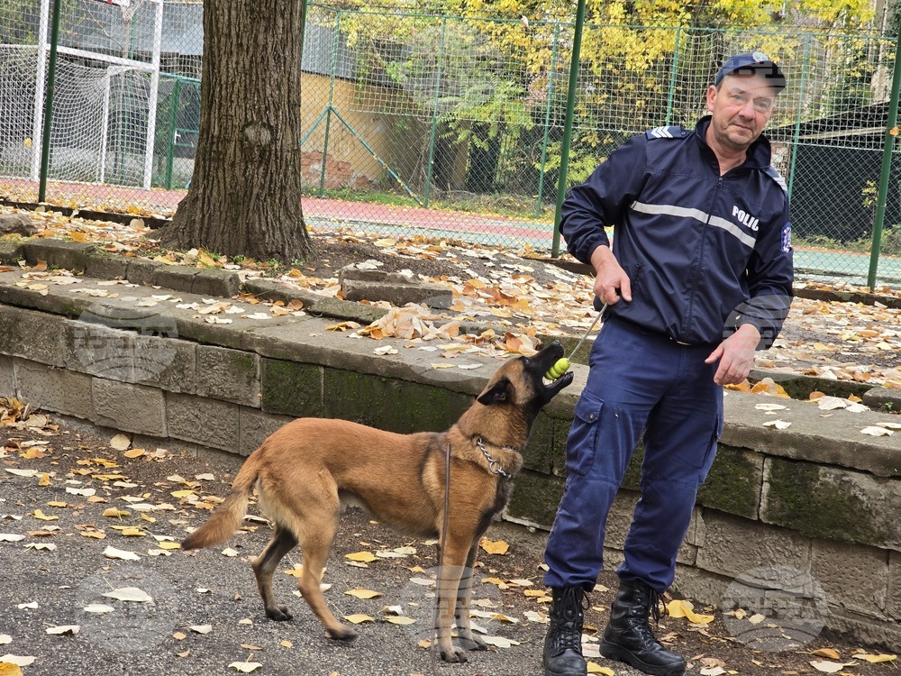 Ловеч - Детско полицейско управление - занятие със служебно куче
