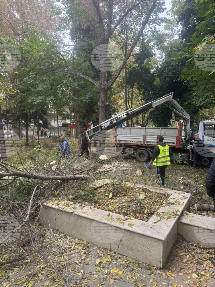 Облагородяват Градската градина в Пазарджик
