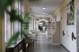 Благоевград - Седмо СУ „Кузман Шапкарев“ - СТЕМ кабинети - откриване