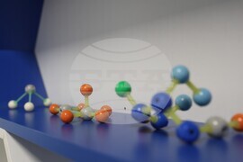 Благоевград - Седмо СУ „Кузман Шапкарев“ - СТЕМ кабинети - откриване