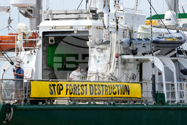 Brazil Climate COP30