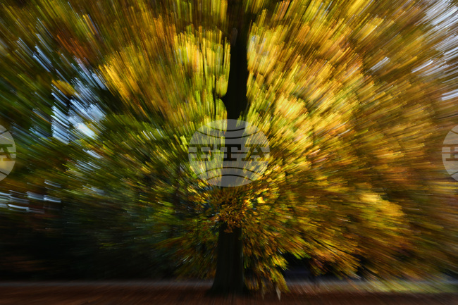 Belgium Daily Life Autumn