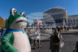 Supreme Court Tariffs